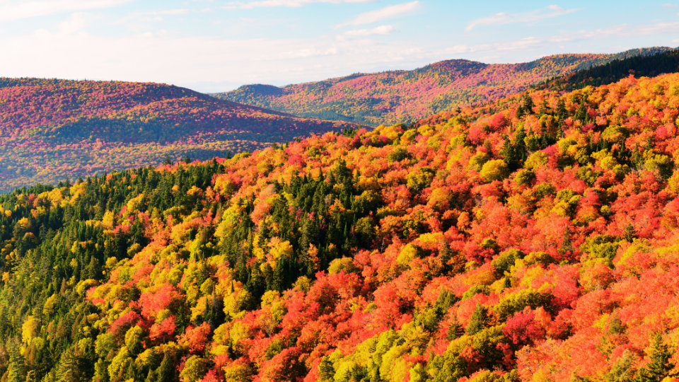 Samedi 7 Octobre - Laurentides